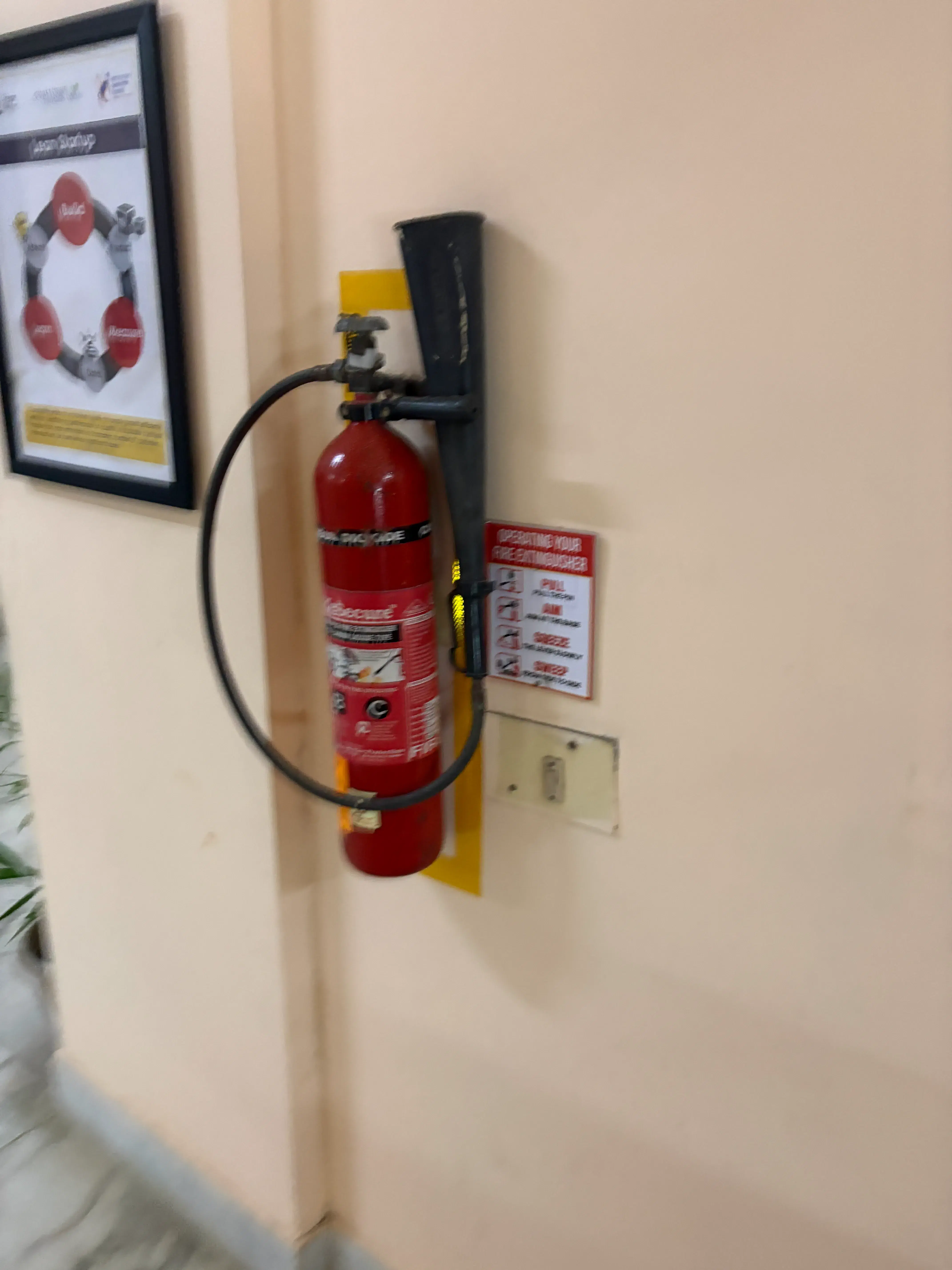 Assam down town University Campus photo 21